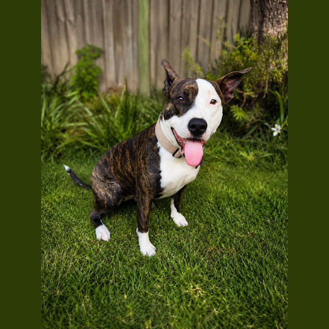 Photo of Lily