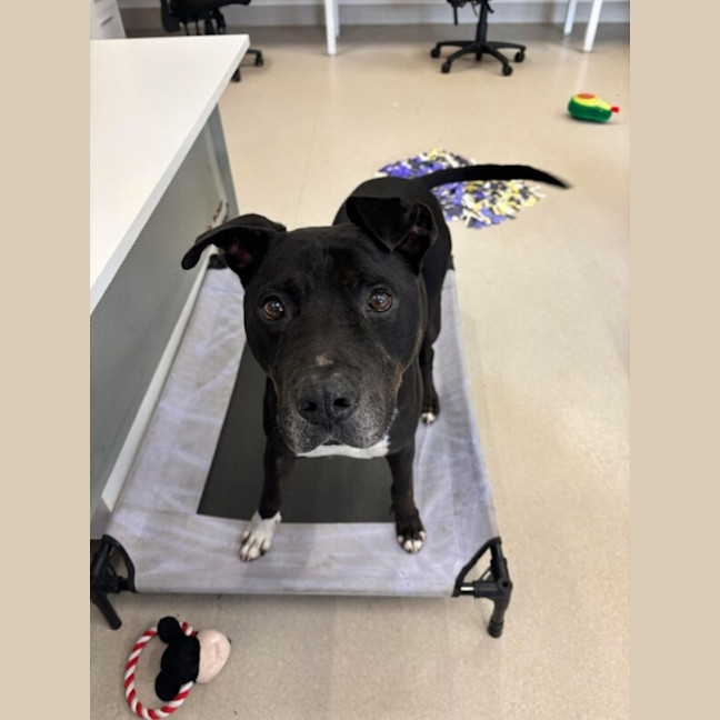 Photo of Denzel Woofington