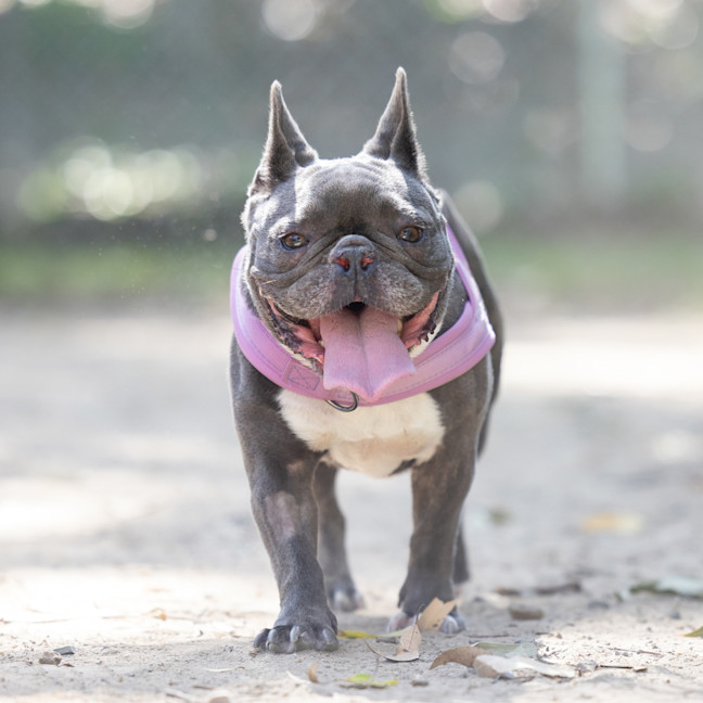 Photo of Nora