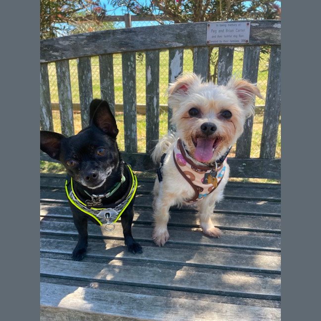 Photo of Milo & Angel