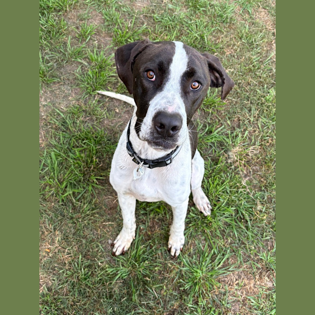 Photo of Buddy