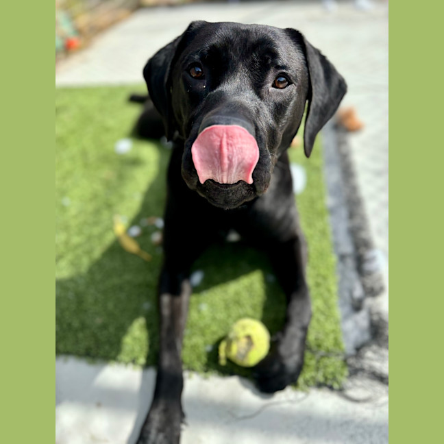 Photo of Bobbi