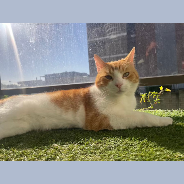 Photo of Fred