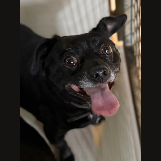 Photo of Stormy