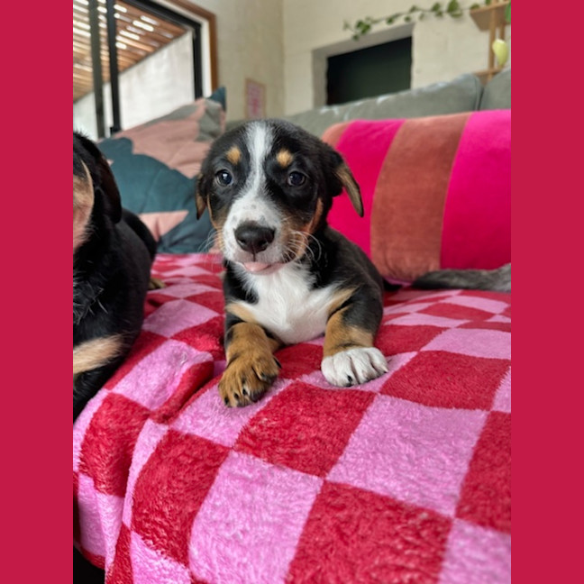 Photo of Clarice Cliff