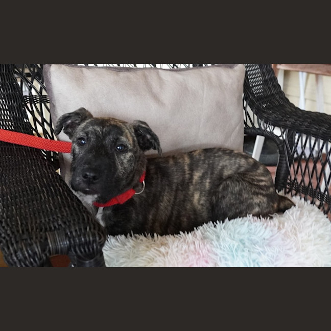 Photo of Winnie
