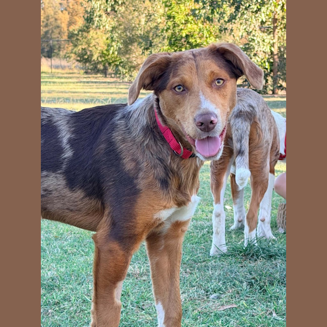 Photo of Ember