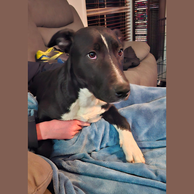 Photo of Buttons