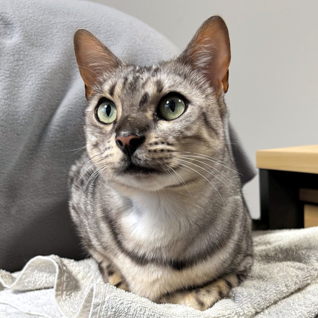 Photo of Jagerbomb Rsua013856