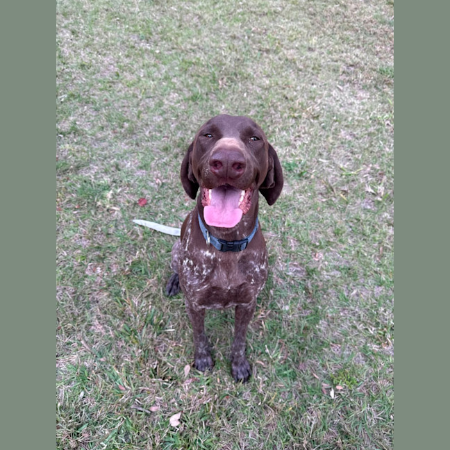 Photo of Cash