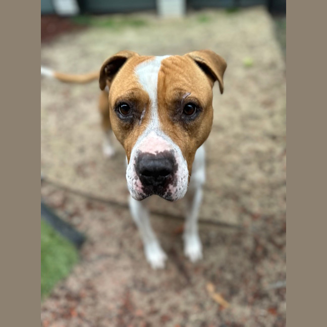 Photo of Walter