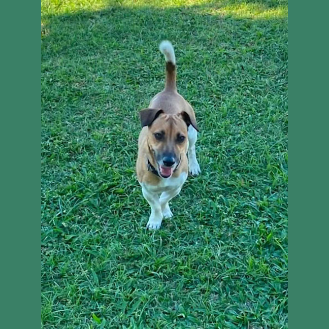 Photo of Jethro