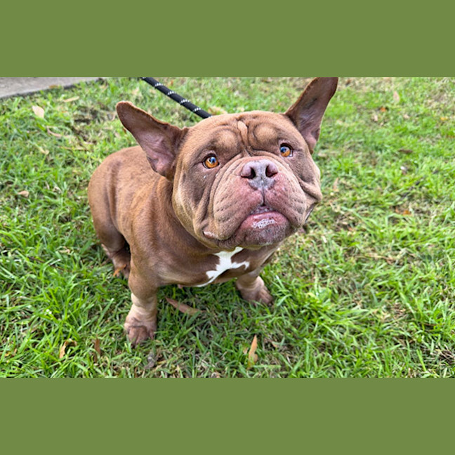 Photo of Hazel