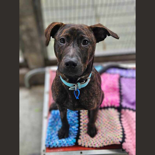 Photo of Buddy