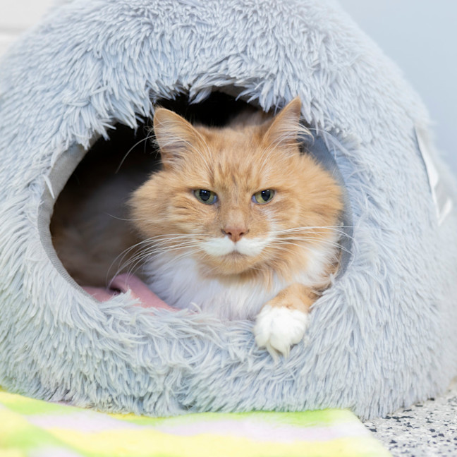 Photo of Tom