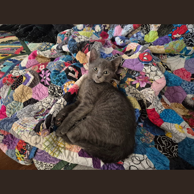 Photo of Gandalf The Grey