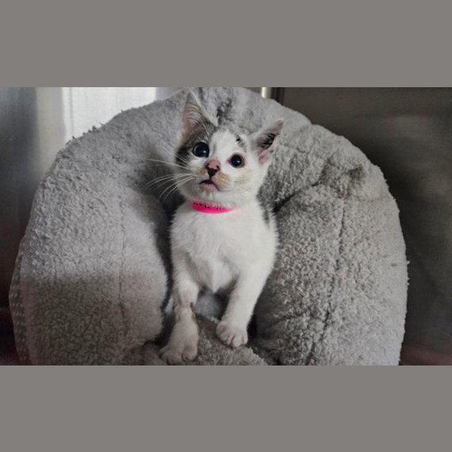 Photo of Nicole Jr