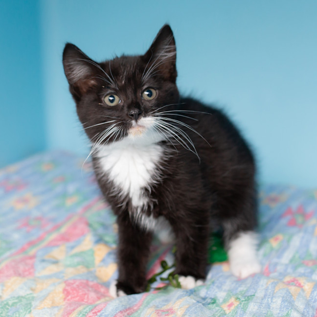 Photo of Princess Peach 