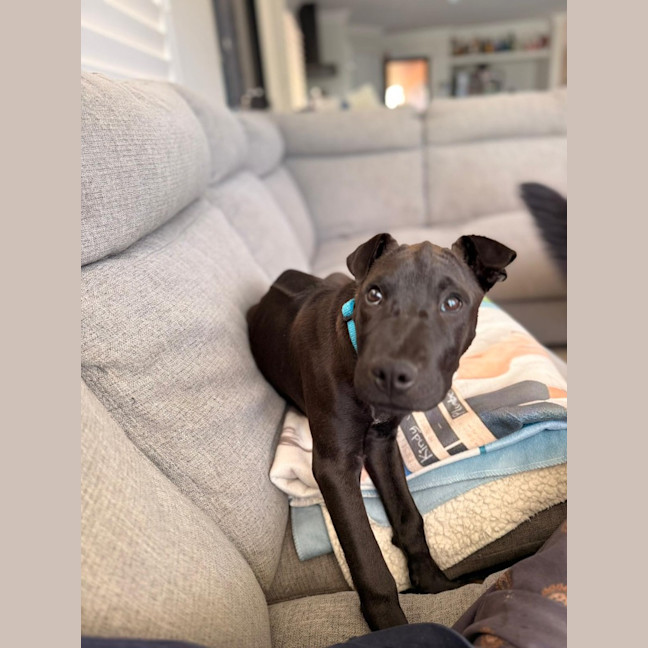 Photo of Bounty
