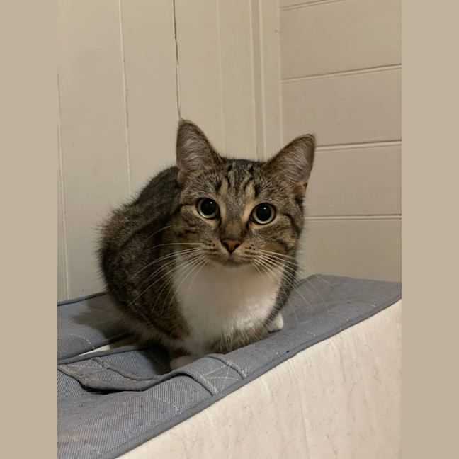 Photo of * Merriweather *