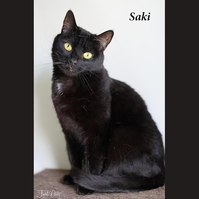 Photo of Saki