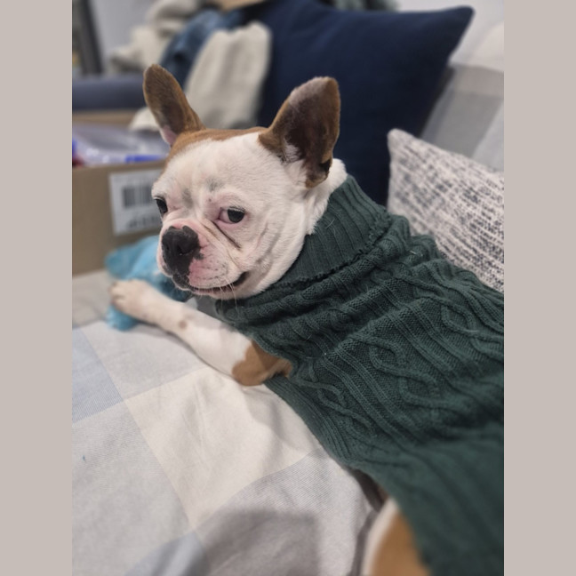 Photo of Pierre