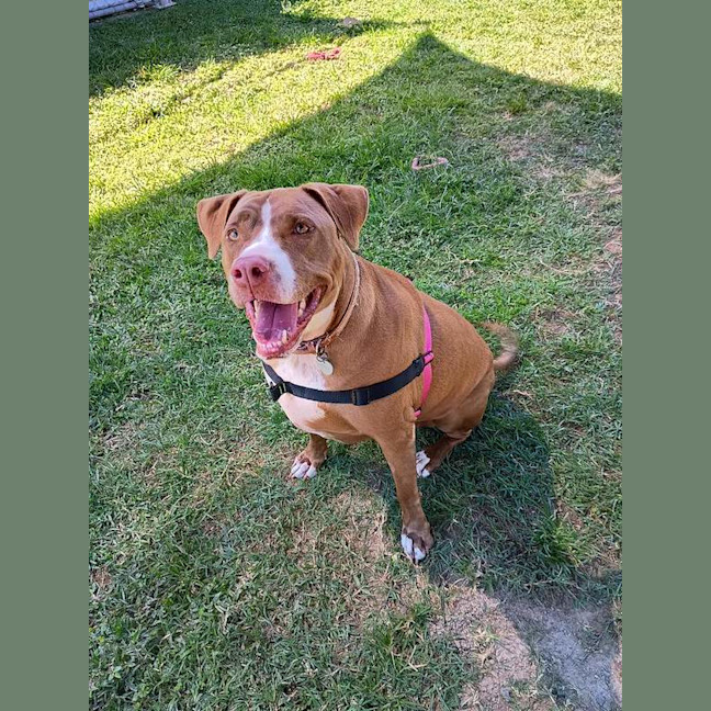 Photo of Xena