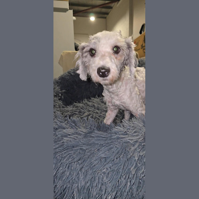 Photo of Zita 