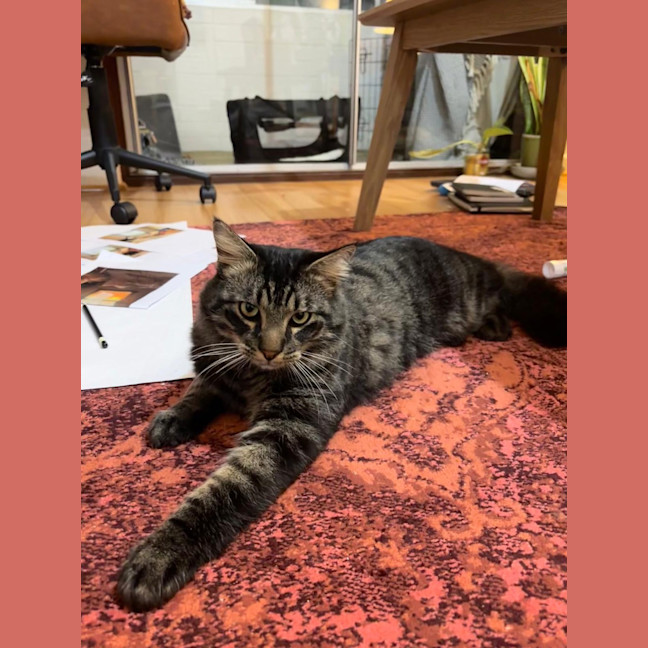 Photo of Salami 