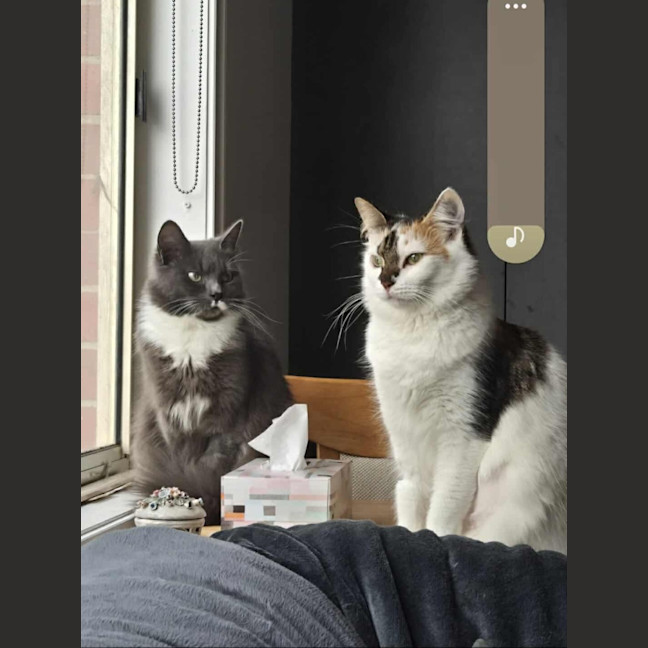 Photo of Evie & Charlotte 