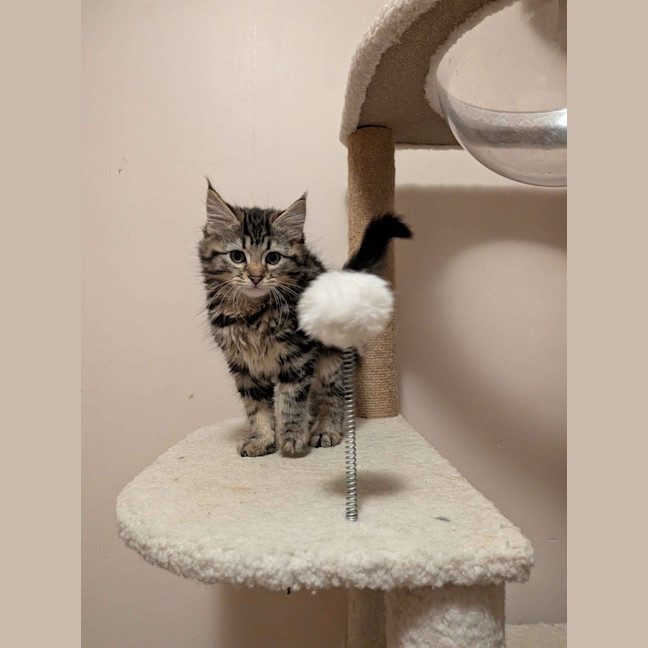 Photo of Rosalita