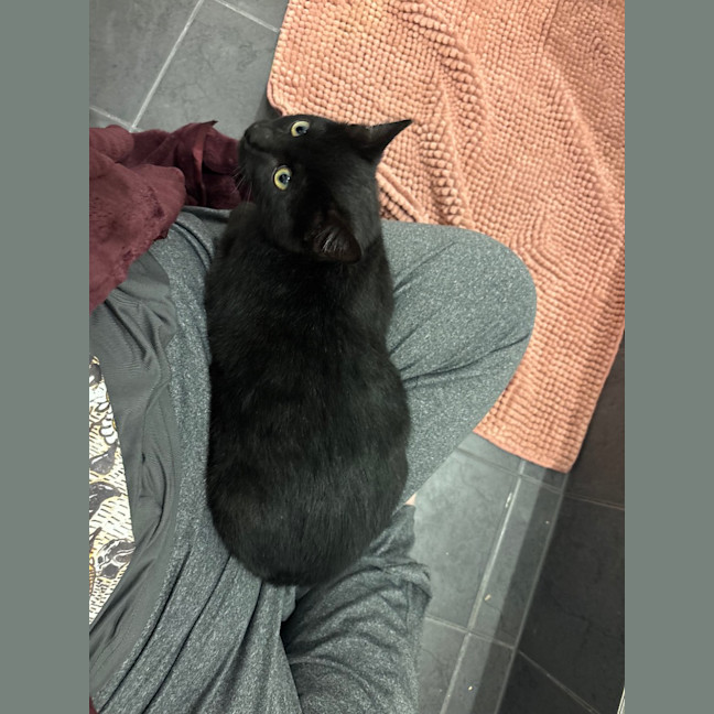 Photo of Salem