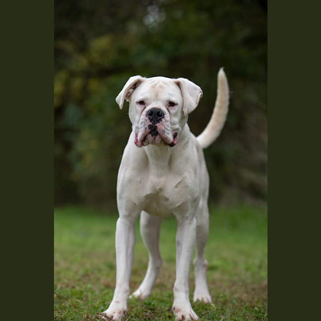 Photo of Beny