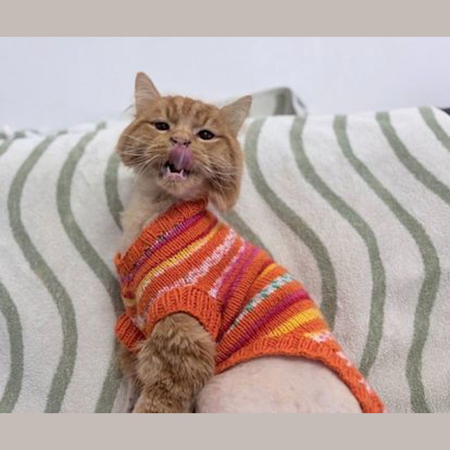 Photo of Calvin
