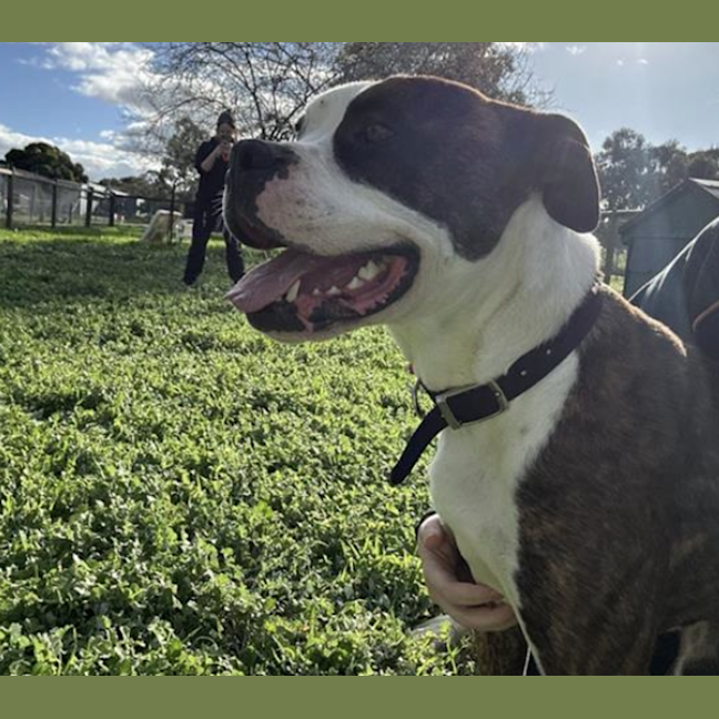 Photo of Tank