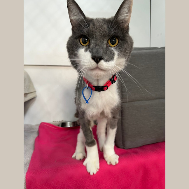 Photo of Principal Flutie 