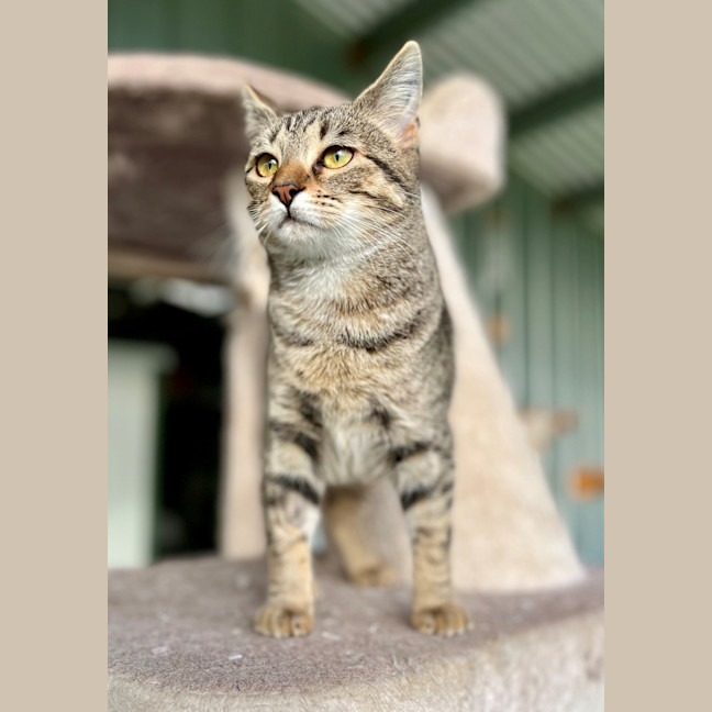 Photo of Lily