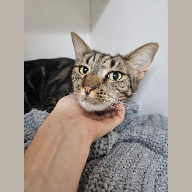 Photo of Squiggs