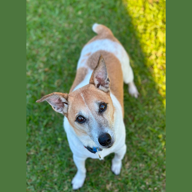 Photo of Sam