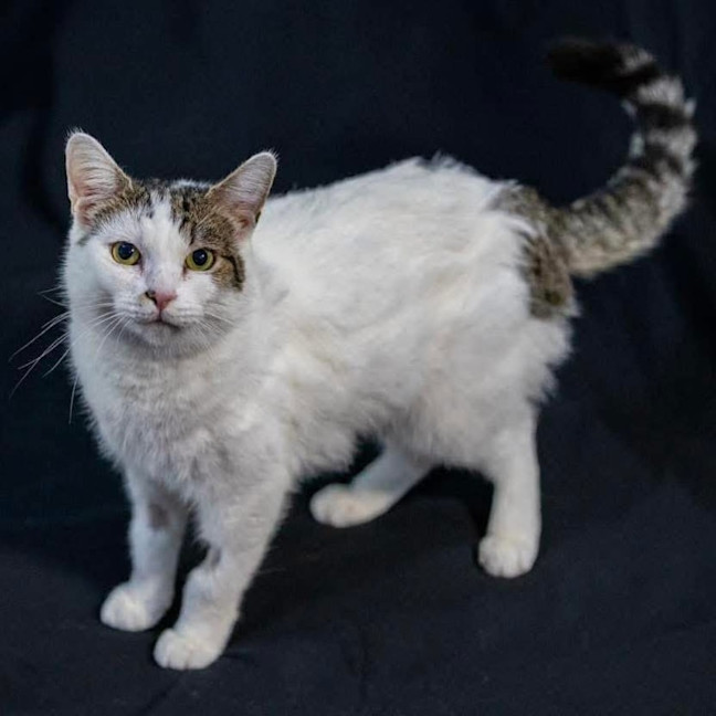 Photo of 10878   Luna