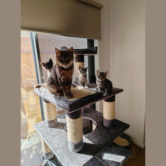 Photo of Minni Mouse