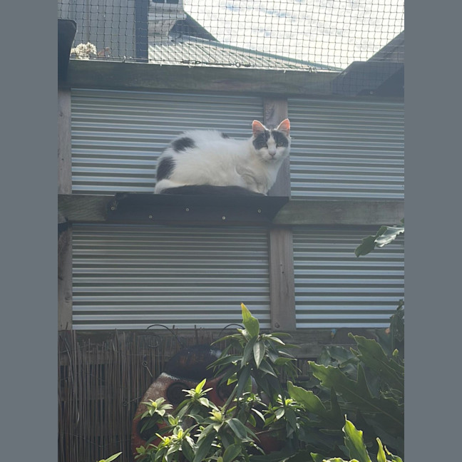 Photo of Kiki