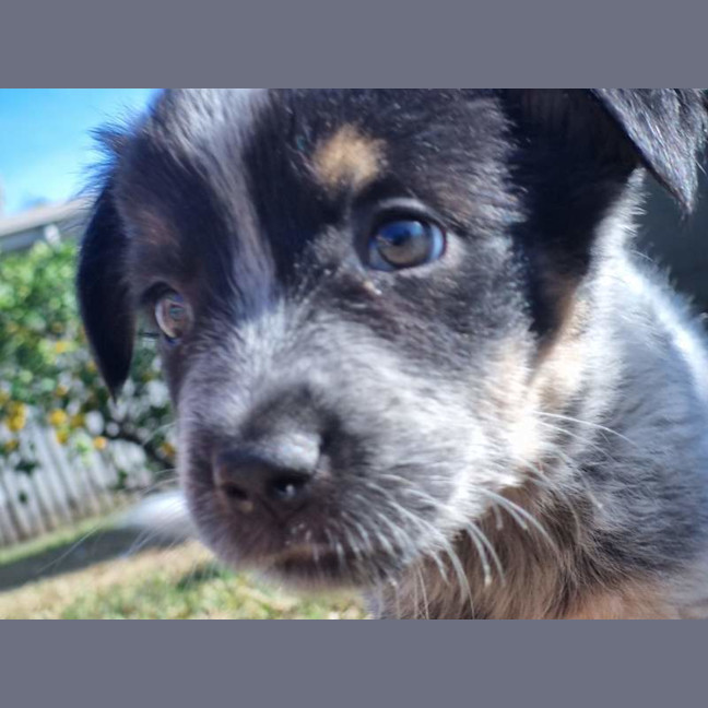 Photo of Ayla