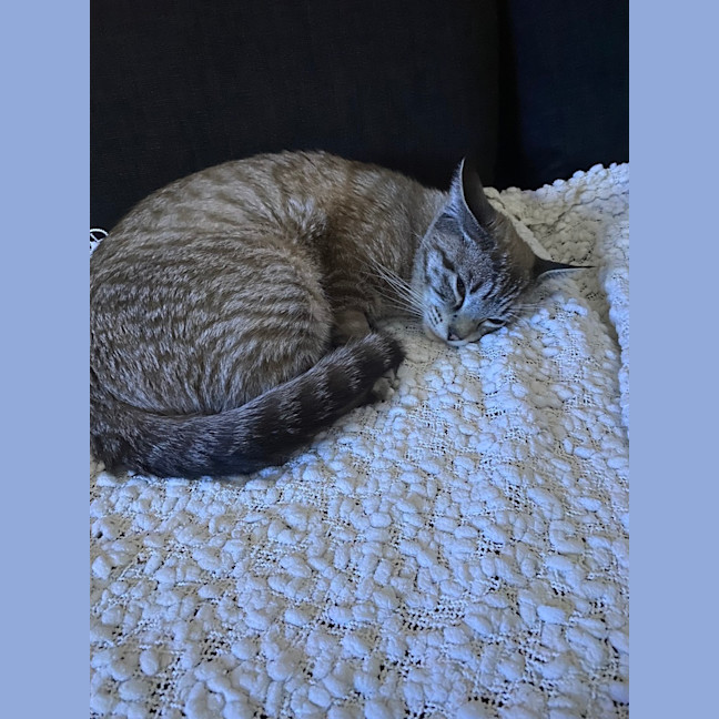 Photo of Morgan