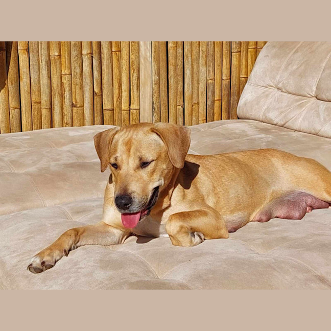 Photo of Nellie