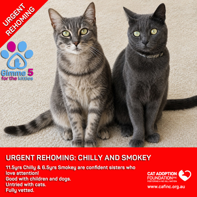 Photo of Chilly & Smokey