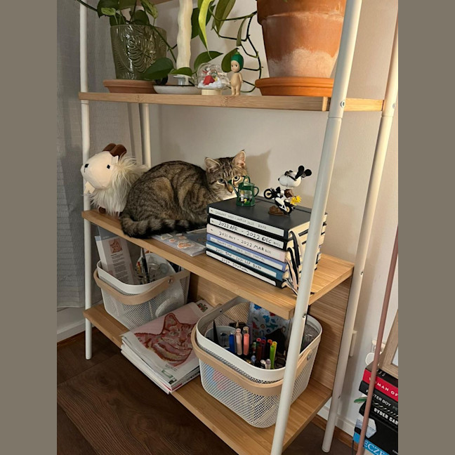 Photo of *Pending Adoption* Bryn