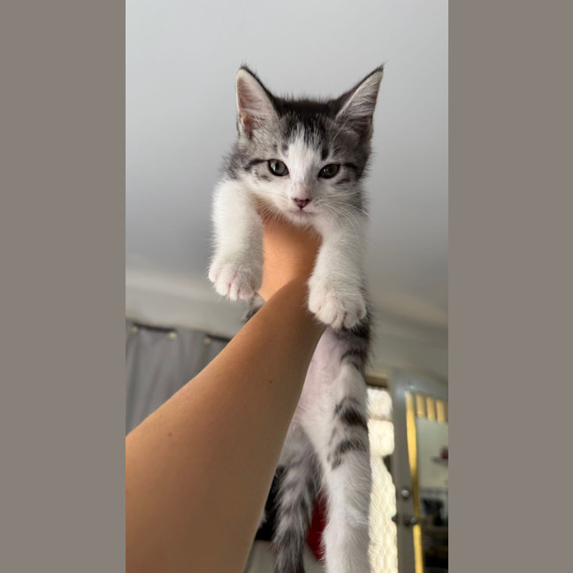 Photo of Lily