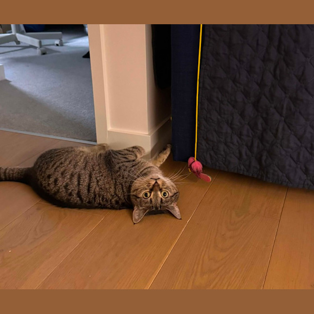 Photo of 💖Rin!!💖