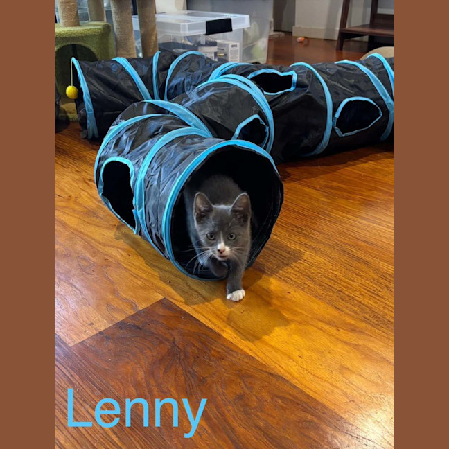 Photo of Lenny ❤️